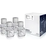 Thermo Fisher Scientific GeneAmp 10X PCR Buffer II & MgCl2, 2 x 75 mL