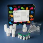 Thermo Fisher Scientific Imject Maleimide-Activated BSA Spin Kit