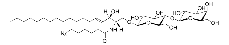 Merck C6(6-azido) LacCer