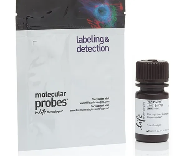 Thermo Fisher Scientific ProLong Gold Antifade Mountant with DNA Stains DAPI, 10 mL