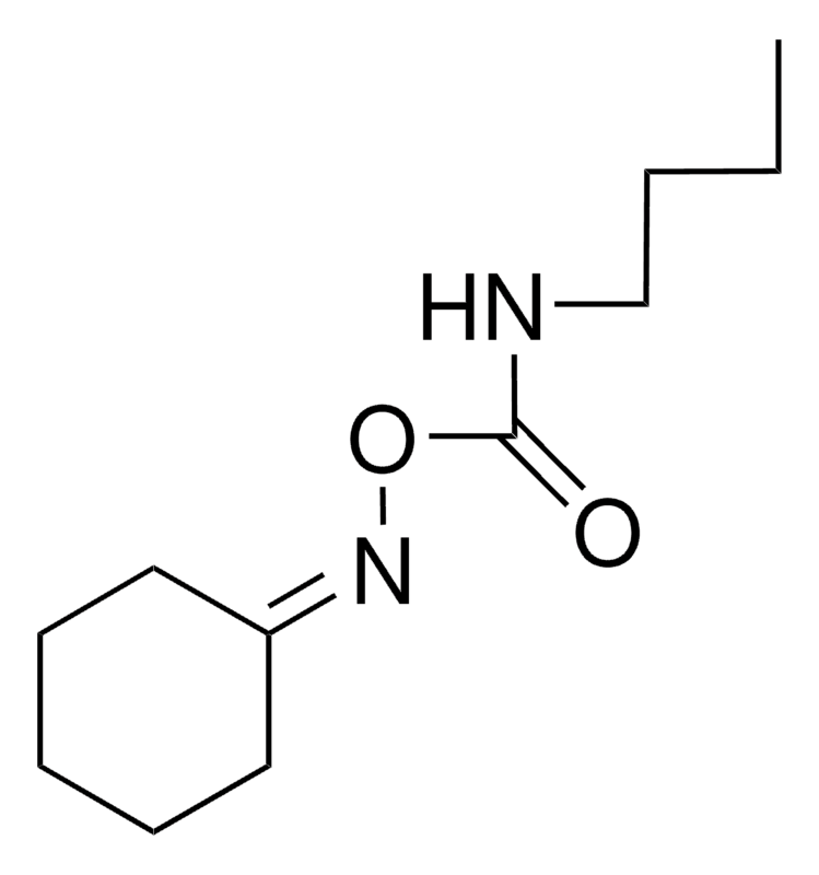 Merck O-(BUTYLCARBAMOYL)CYCLOHEXANONE-