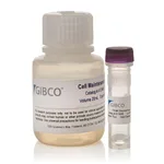 Thermo Fisher Scientific Primary Hepatocyte Maintenance Supplements