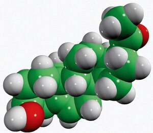 Merck PREGNENOLONE