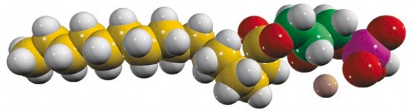 Merck 16:0 LPA (U-13C)