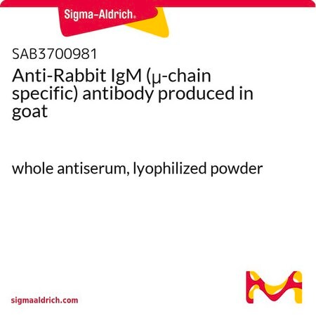 Merck Anti-Rabbit IgM (mu-chain specific) antibody produced in goat