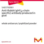 Merck Anti-Rabbit IgM (mu-chain specific) antibody produced in goat