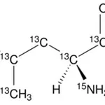 Merck L-LEUCINE-13C6, 15N, 98 ATOM % 13C, 98 &