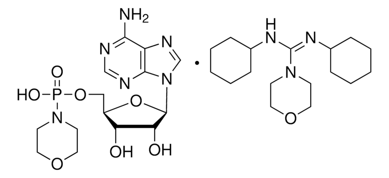 Merck Adenosine 5'-monophosphomorpholidate 4-morpholine-N,N'-dicyclohexylcarboxamidine salt