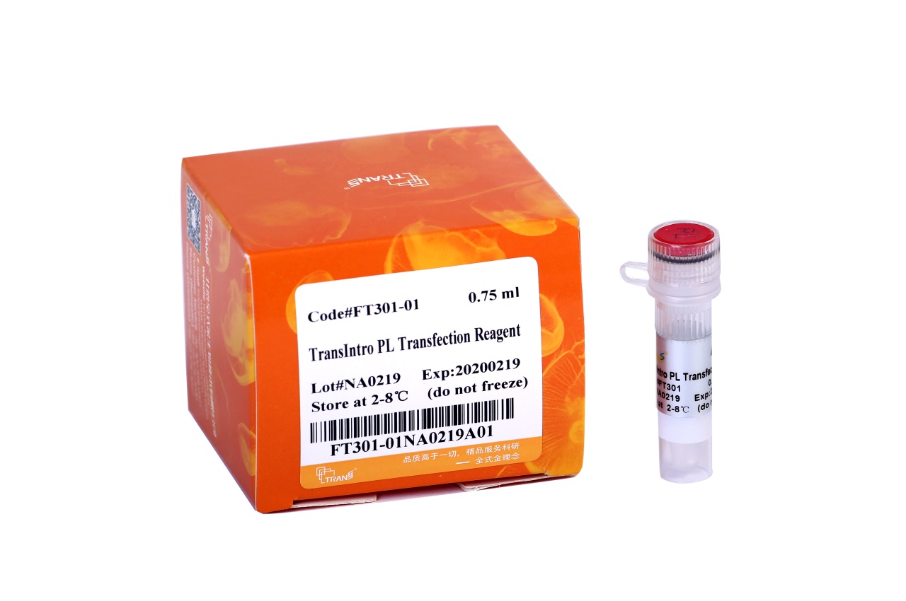 TransIntroTM PL Transfection Reagent