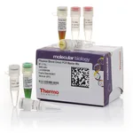 Thermo Fisher Scientific Phusion Blood Direct PCR Master Mix, 500 reactions