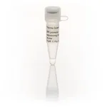 Thermo Fisher Scientific SP6 promoter Sequencing Primer, 24-mer