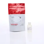 Thermo Fisher Scientific Pluronic F-127, 0.2 μm filtered (10% Solution in Water)