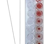 Merck LECTIN FROM TRITICUM VULGARIS