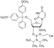 Merck DMT-2``O-ME-RU AMIDITE 0.5G, 89, SINGLE