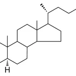 Merck 5-ALPHA-CHOLESTAN-2-ONE - 1 MG