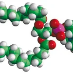 Merck 16:0 Tempo PC