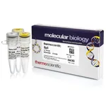 Thermo Fisher Scientific BplI (5 U/μL), 100 units