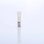 Thermo Fisher Scientific pT7CFE1-CGFP-HA-His Vector for Mammalian Cell-Free Protein Expression