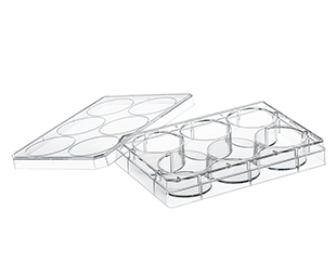 Greiner Bio One MULTIWELL PLATE FOR SUSPENSION CULTURE, 6 WELL,PS, CLEAR, LID WITH CONDENSATION RINGS, STERILE, SINGLE PACKED