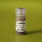 Thermo Fisher Scientific Pierce Protein A/G Magnetic Beads, 1 mL