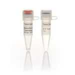 Thermo Fisher Scientific Maxima Reverse Transcriptase (200 U/μL), 2,000 Units