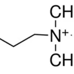 Merck (3-BROMOPROPYL)TRIMETHYLAMMONIUM BROMIDE