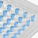 Thermo Fisher Scientific ABsolute Blue QPCR Mix, ROX, 1,600 reactions