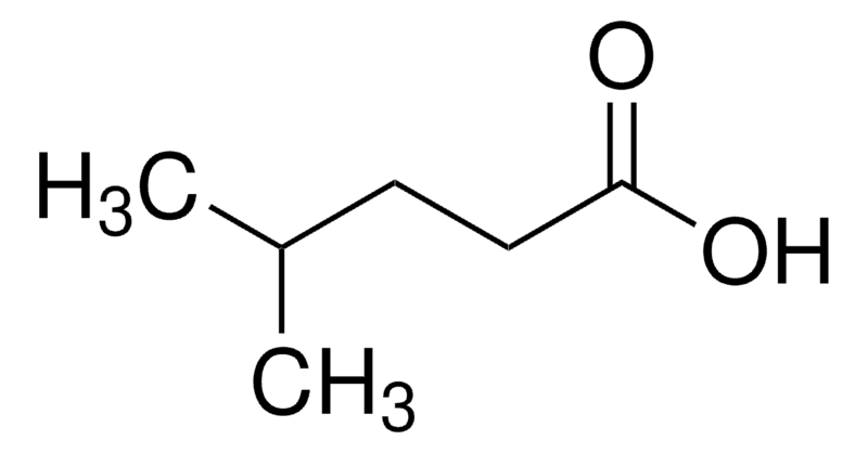 Merck 4-Methylpentanoic acid