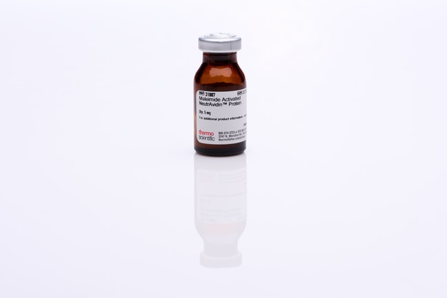 Thermo Fisher Scientific NeutrAvidin Protein, Maleimide-Activated