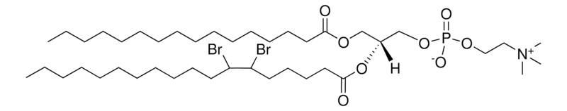 Merck 16:0-18:0 (6-7BR) PC