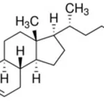 Merck 5-CHOLESTEN-3-ONE