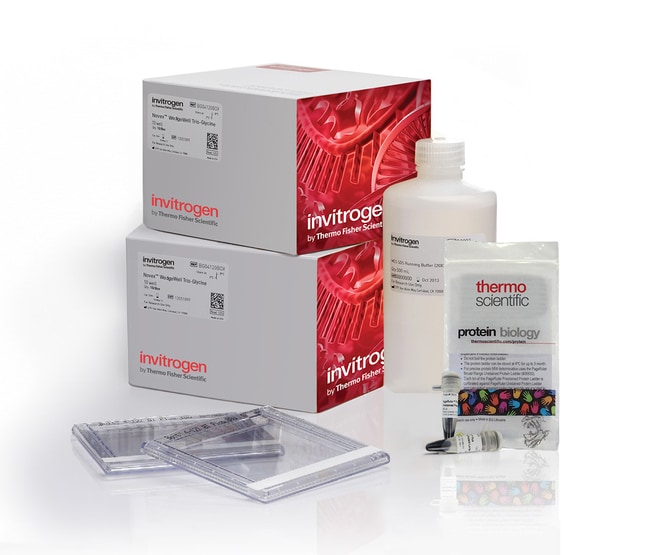 Thermo Fisher Scientific Novex Tris-Glycine Resupply Pack, 4 to 20%, Wedgewell format, 1 Kit