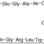 Merck DEFENSIN HNP-2, HUMAN