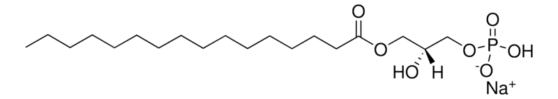 Merck 16:0 Lyso PA