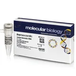 Thermo Fisher Scientific Jurkat Genomic DNA
