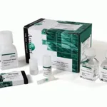 Thermo Fisher Scientific Stabilized Blood-to-CT Nucleic Acid Preparation Kit for qPCR, compatible with either PAXgene or Tempus Blood RNA Tubes
