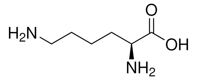 Merck L-Lysine