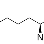 Merck L-Lysine
