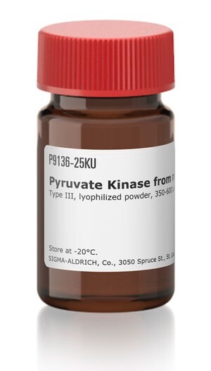 Merck PYRUVATE KINASE TYPE III FROM RABBIT MUS