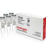 Thermo Fisher Scientific Linear Acrylamide (5 mg/ml) (1 ml Tube)