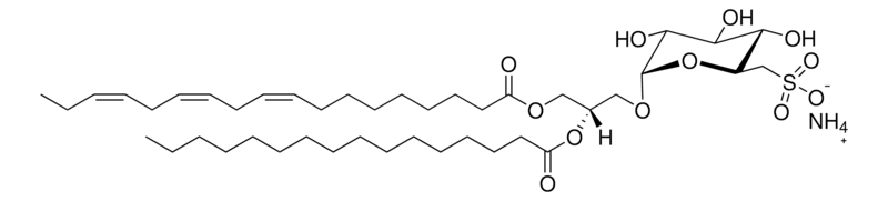 Merck SQDG