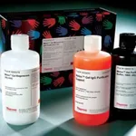 Thermo Fisher Scientific Melon Gel IgG Spin Purification Kit