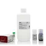 Thermo Fisher Scientific NuPAGE MOPS SDS Buffer Kit (for Bis-Tris Gels)