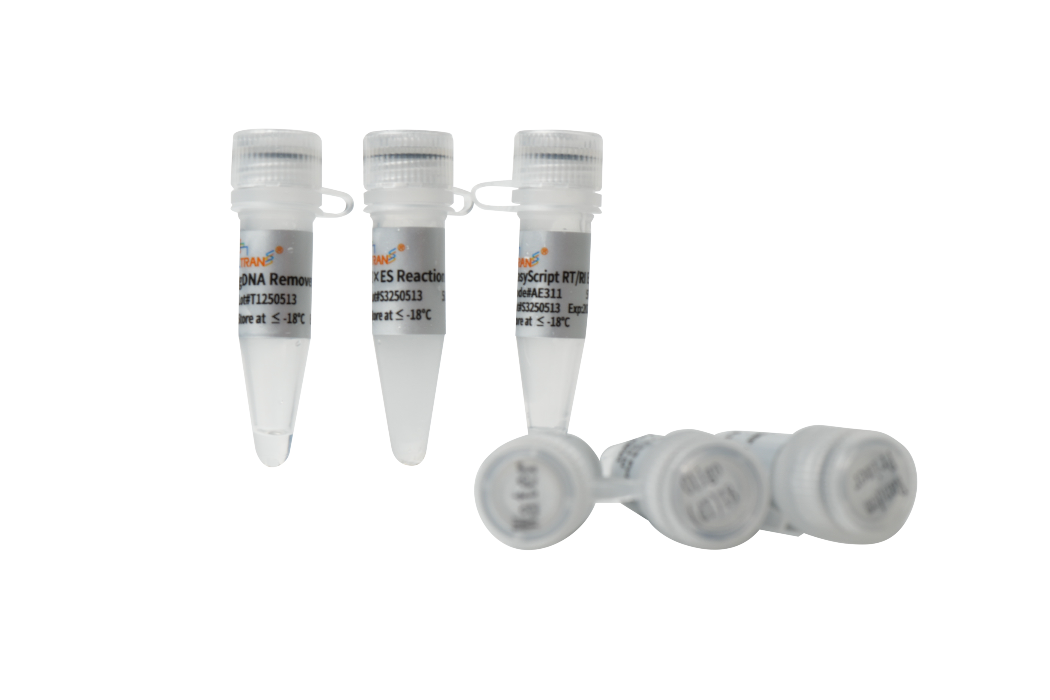 EasyScript® One-Step gDNA Removal and cDNA Synthesis SuperMix