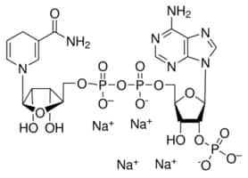 Merck BETA-NICOTINAMIDE ADENINE DINUCLEOTIDE&
