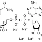 Merck BETA-NICOTINAMIDE ADENINE DINUCLEOTIDE&