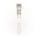 Thermo Fisher Scientific dGTP Solution (100 mM)