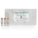 Thermo Fisher Scientific CTS CytoTune-iPS 2.1 Sendai Reprogramming Kit