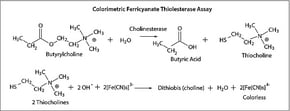 Merck CHOLINESTERASE, ACETYL AMPHIPHILIC FROM