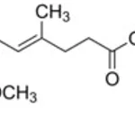 Merck MYCOPHENOLATE MOFETIL